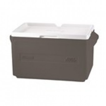 Coleman 34 QT